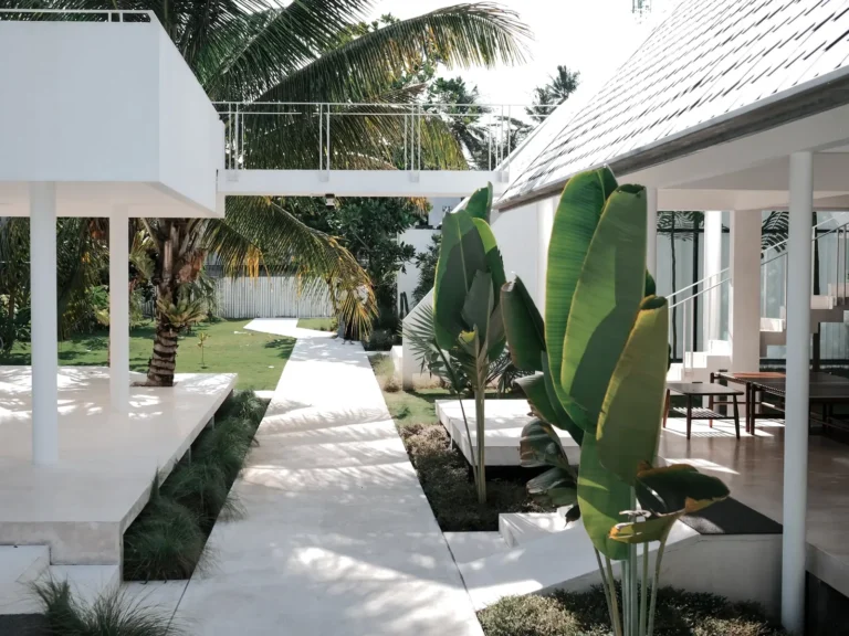 A white courtyard house with a tiled roof, banana palms and a paved path across a lawn